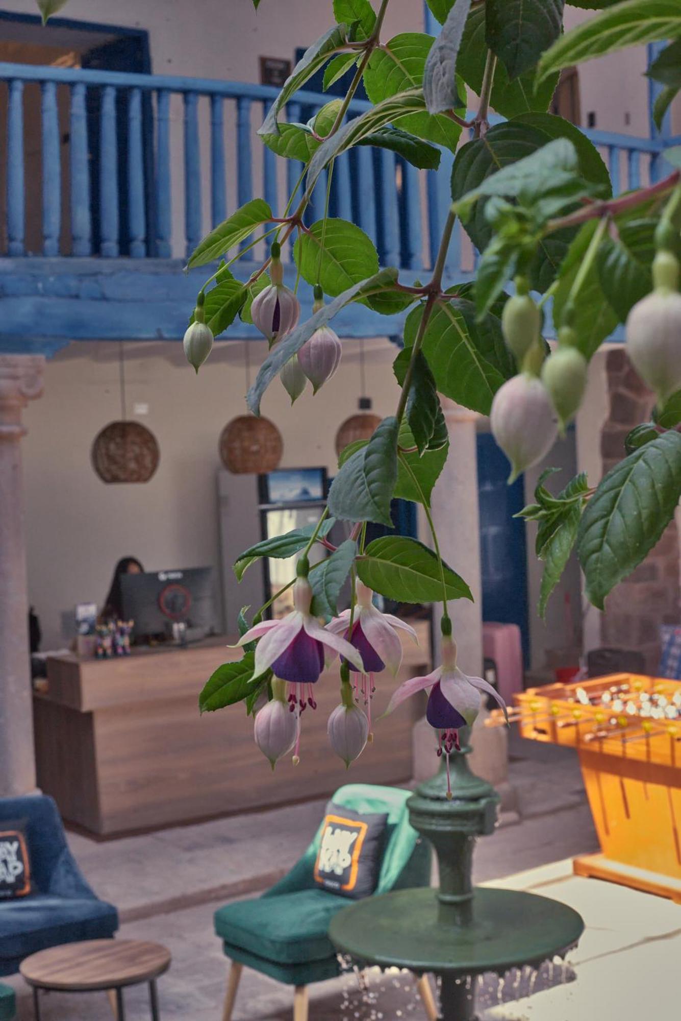 Way Kap Hostel Cuzco Zewnętrze zdjęcie