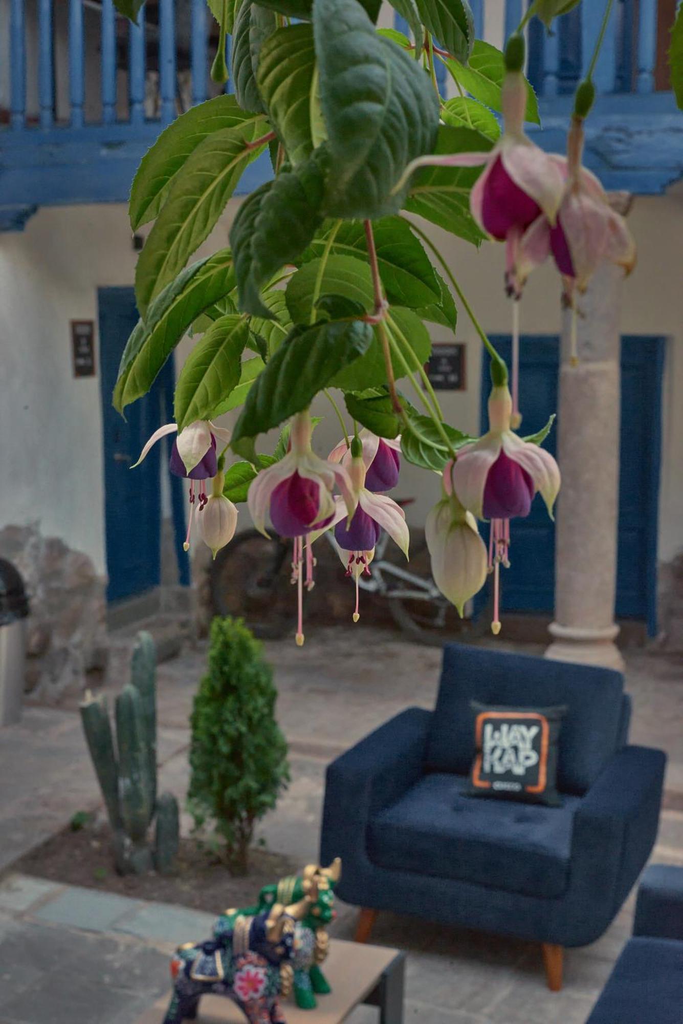 Way Kap Hostel Cuzco Zewnętrze zdjęcie